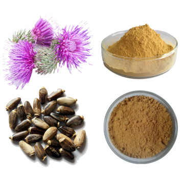 Milk Thistle Extract Powder Silymarin 80% Silibinin 30%