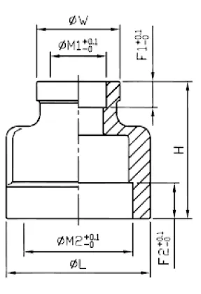 Lost Wax Precision Casting reducing-nipple Pipe Fittings