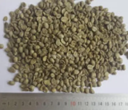 Arabica Fresh Green Coffee price
