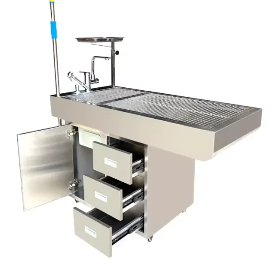 Stainless Steel Autopsy Table