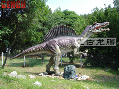 7m long Robotic Dinosaur  Model---Spinosaurus