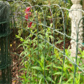 Recinzione da giardino con filo ondulato