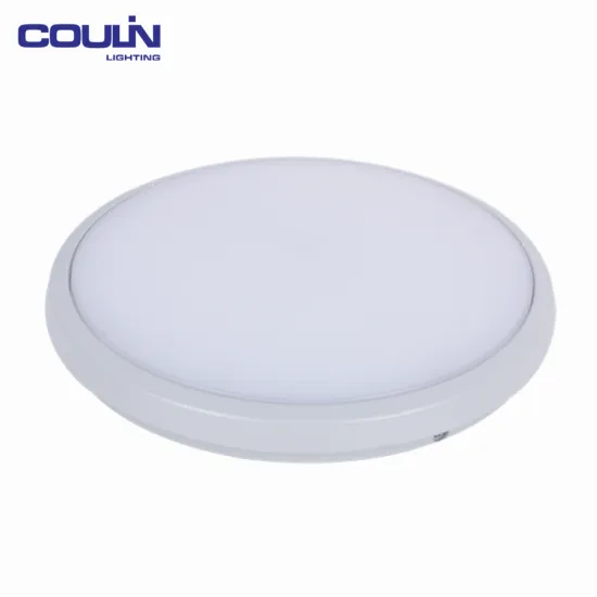 Top Quality Various Shape Colors Ip65 Led Ceiling Lamp
