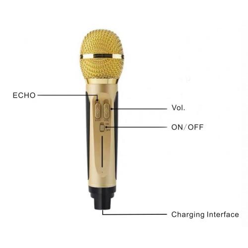 China Karaoke Speaker 30W Speaker with Mic Manufactory