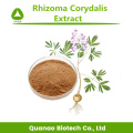 Natuurlijk Rhizoma Corydalis-poeder Corydalis Yanhusuo-extract