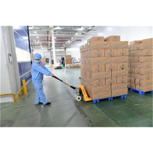 Bodybuilding Powder Skin Whitening Hydrolyzed Collagen Protein Factory