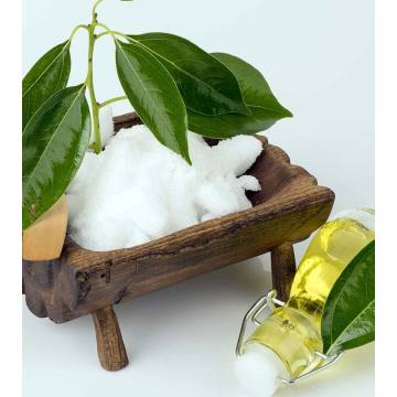 Organic Pure Camphor Oil for Supplying Private Label