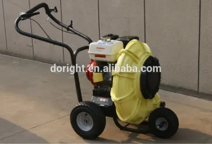 Garden gasoline leaf blower & Petrol blowers