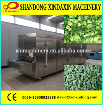 100kg/h tunnel freezer for frozen vegetables