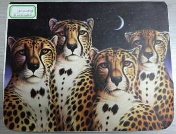 UV Digital Printer Machine for Genuine Leather