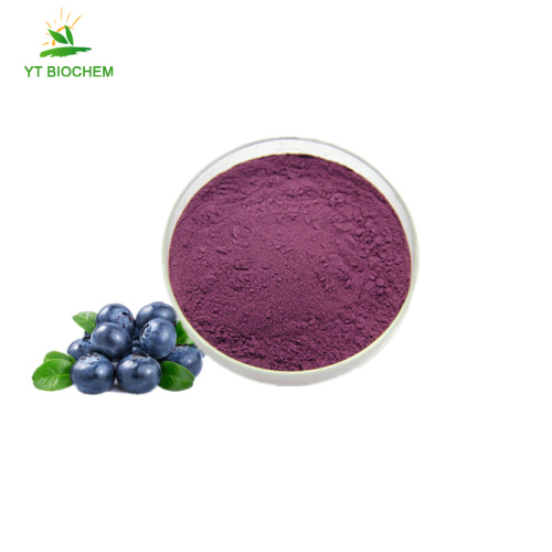 Wild blueberry extract powder organic blueberry powder