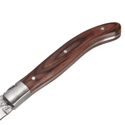 Garwin full tang laguiole steak knife