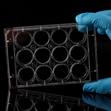 Cell Culture Plates,Microscope Cover Glasses,Cell-Seeded Coverslips ...
