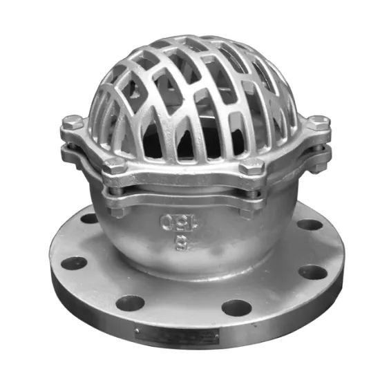 ASME 150lb flanged ss foot valve