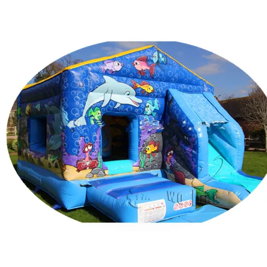 Factory Supply Commercial inflatable bouncer accesorios