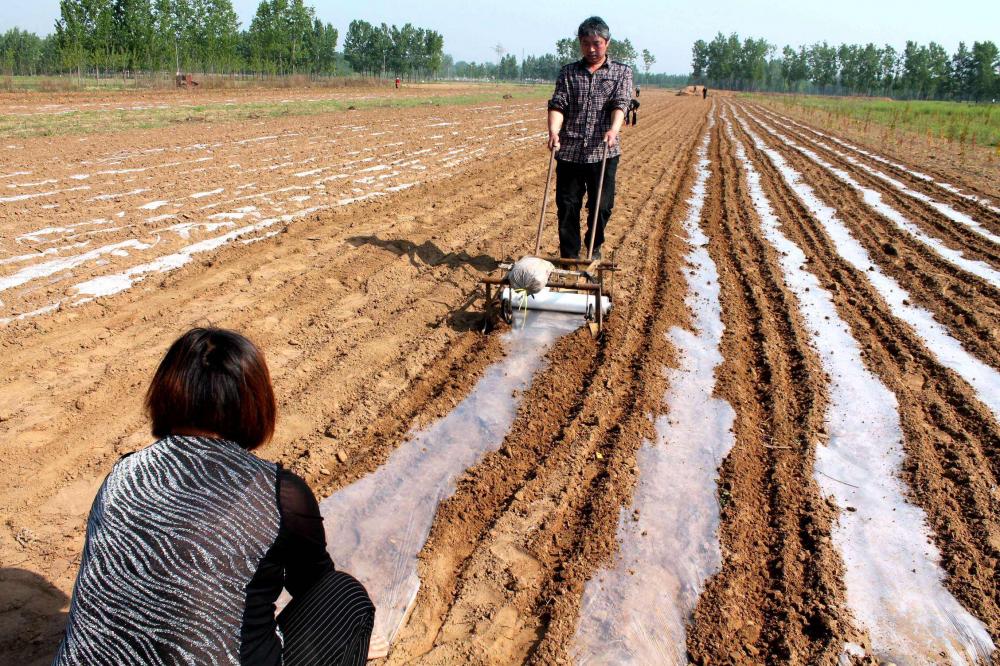 Biodegradeable Weed Control Mulch Film