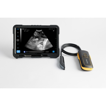 EagleScan LC portable ultrasound machine for livestock