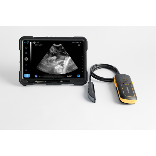 EagleScan L64 ultrasound for cattle pregnancy test