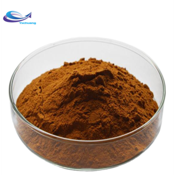 Olive Leaf Extract Oleuropein