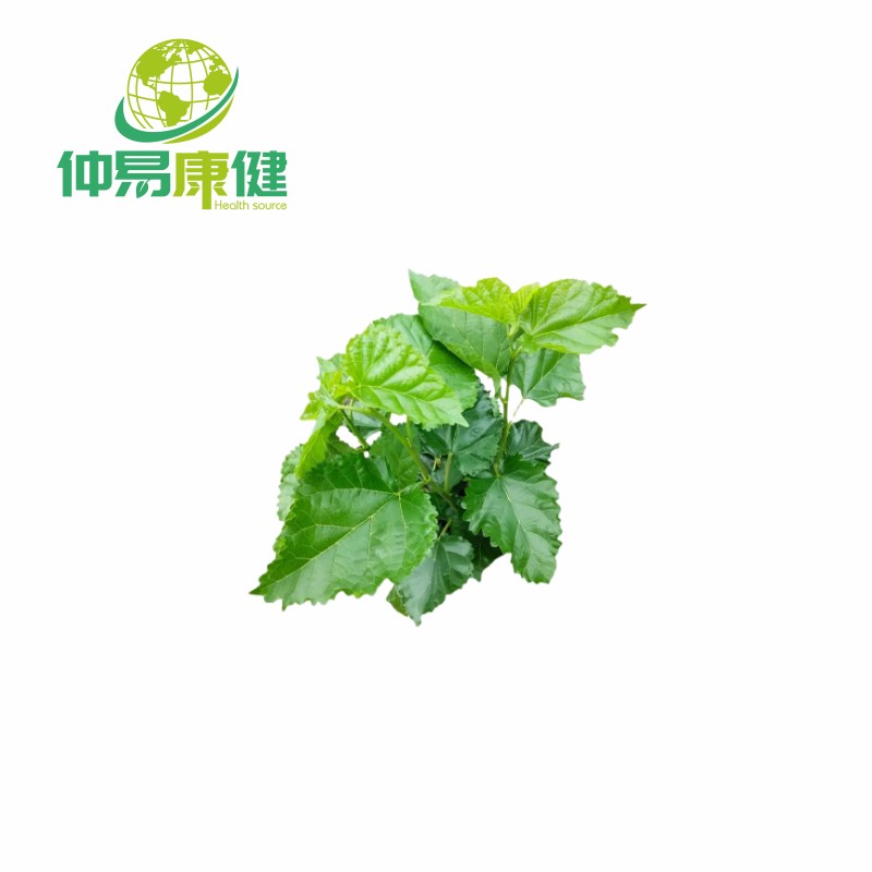 Mulberry Leaf Extract Chlorophyll Powder