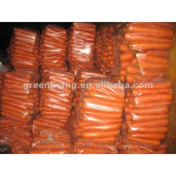 2014 New Crop Grade A Chinese fresh carrots specification