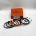 Kit di tenuta del cilindro Hitachi 4613892 per gli scavatori