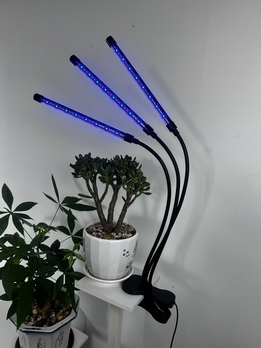 Compact USB Plant Grow Light