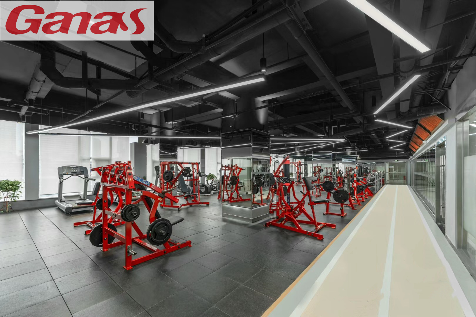 Reliable fitness equipment supplier (2)