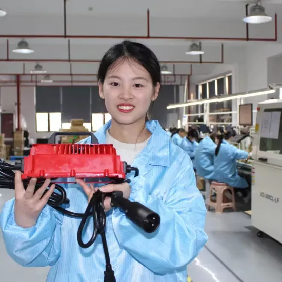 Electric Vehicle Charger: Golf Car and Electric Motorcycle 8000W Battery Charger