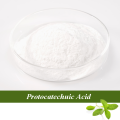 Protocatechuic Acid powder for Antihypertensive Ingredients