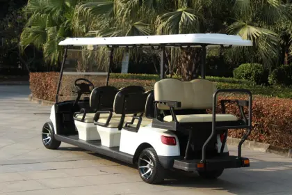 6 Passenger White Electric Golf Cart