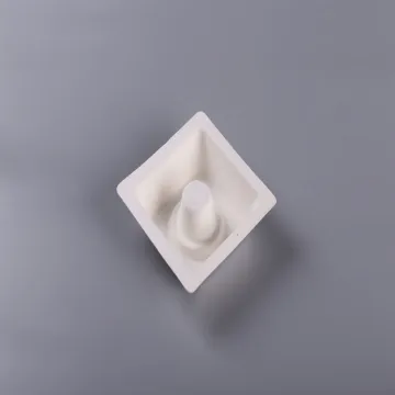 Biodegradable Bagasse Molded Pulp Bottle Packaging Insert
