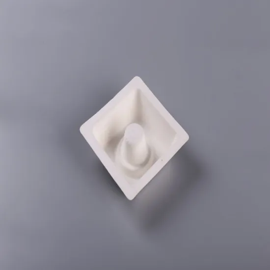 Biodegradable Bagasse Molded Pulp Bottle Packaging Insert