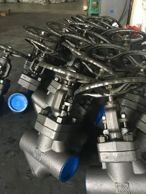 Socket Welded Globe Valve, A105, 800 LB, 3IN