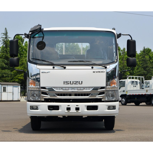 Грузовик Isuzu 5ton грузовой грузовик Van Mini Mini Truck