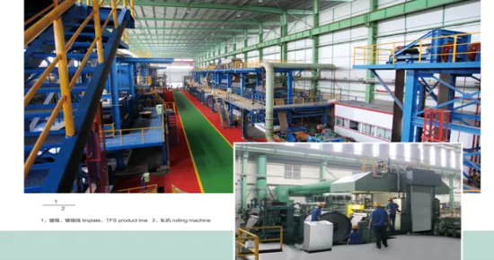 ETP TINPLATE food can fancy can