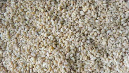 99.5% Color Selection Grain Color Sorter Machine Of Lower Power Consumption