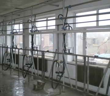 Pipeline Cow Milking Milking Equipments