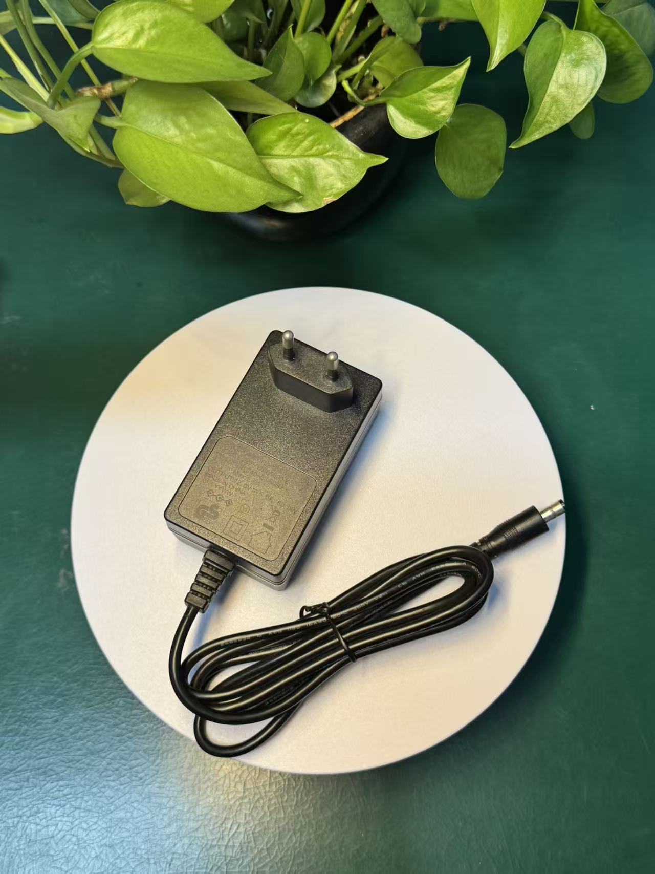 12V 5A 60W Wall-mounted Power Adapter