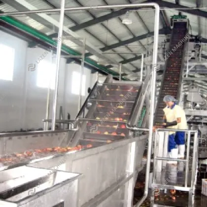 Turnkey Production Line for Peach, Apricot, and Plum Juice, Puree, Jam, and Concentrate