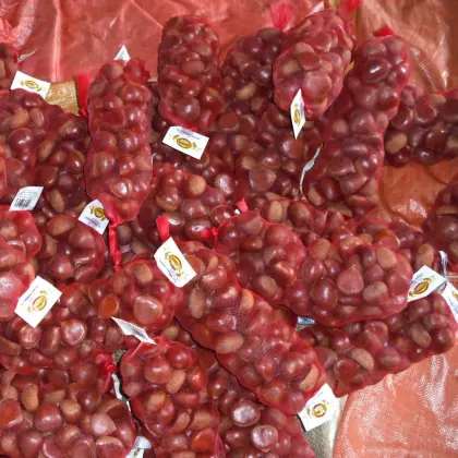 Harvest fresh chestnut from Dandong with good price