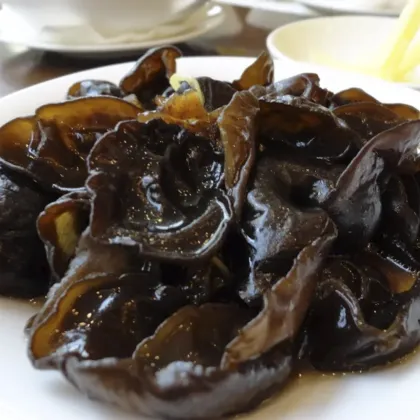 Finc fresh Culture black fungus mushroom