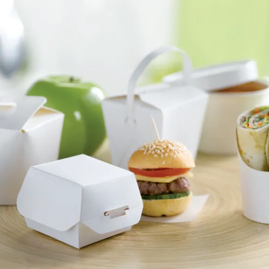 Mini Noodle Box With Paper Handle