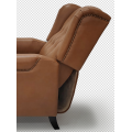 Tiltable backrest tiger chair