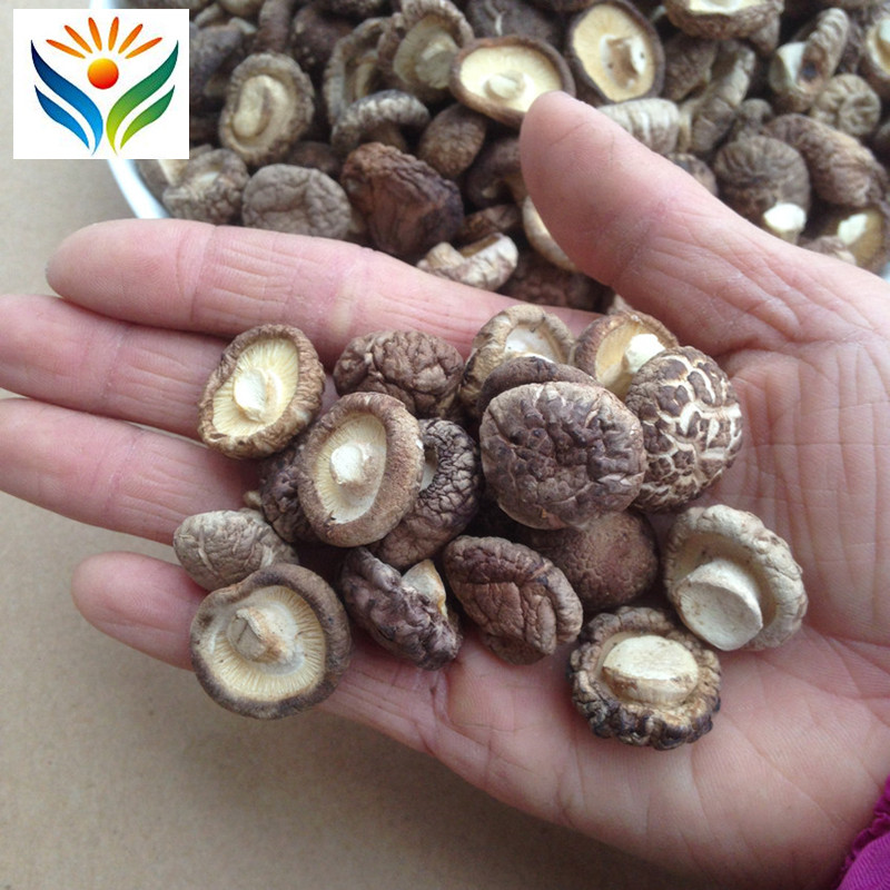 Dried Shiitake Mushrooms Wooden Organic Wild Kitchen Food Natural