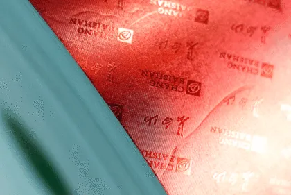 Moisture-proof and mildew-proof desiccant
