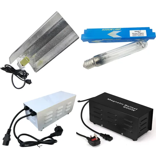 High Light Efficiency T46 HPS600W Plant Grow Light with Sodium Lamp and Inductive Ballast for Easy Installation