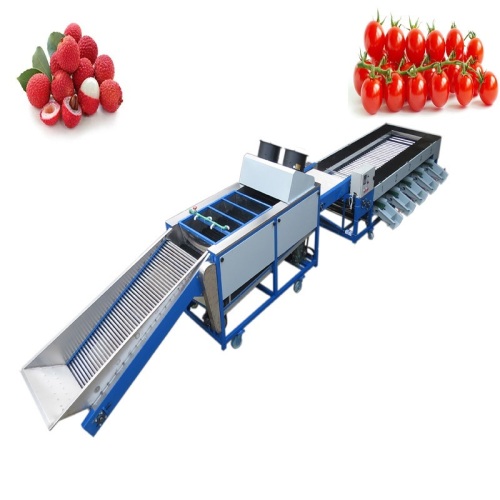 Stainless steel grading equipment fruit and vegetable sorting machine