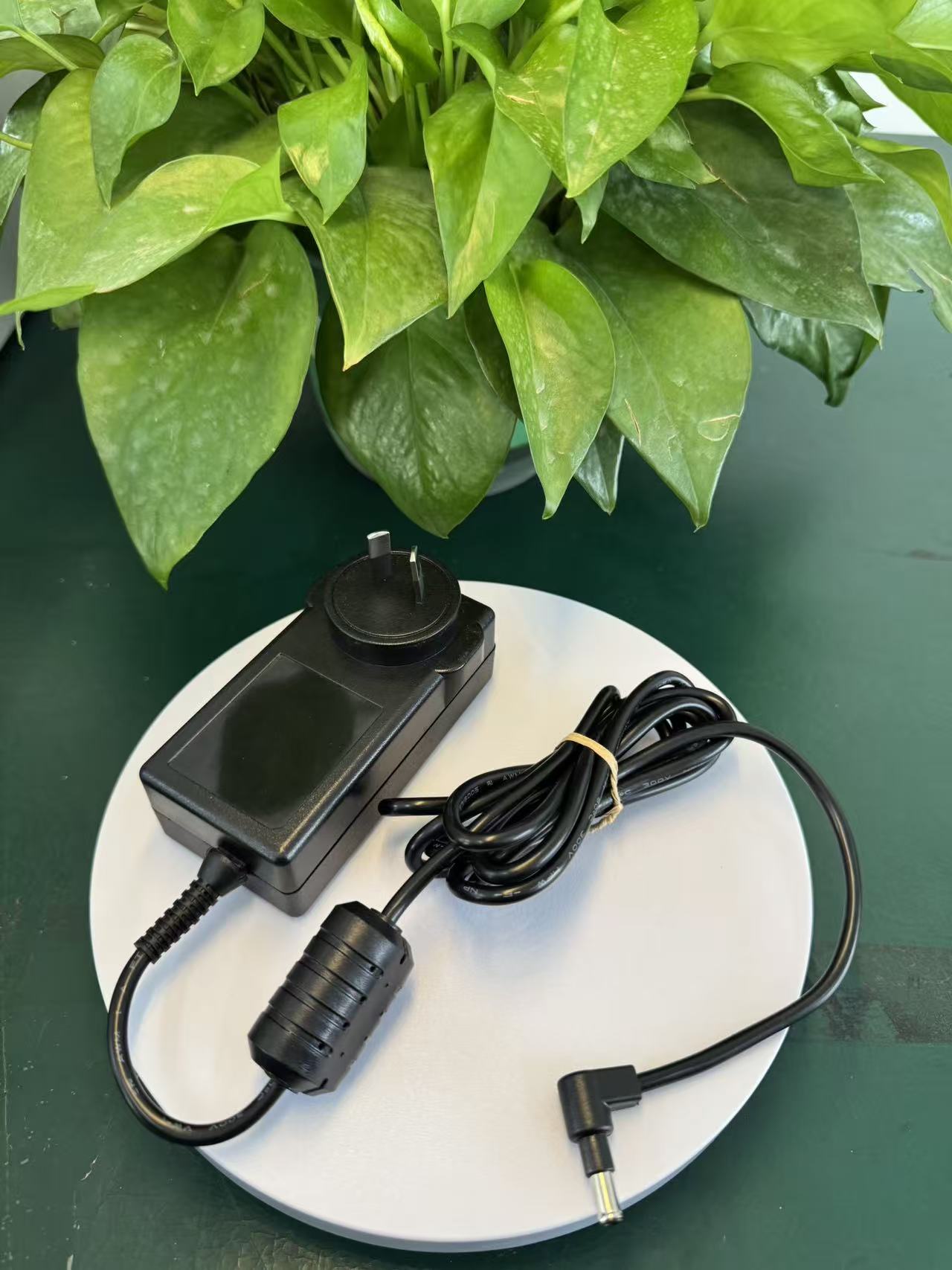 Output DC 12V 2.5A 30W