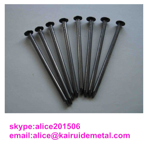 Common Iron Wire Nail For Building Usage
